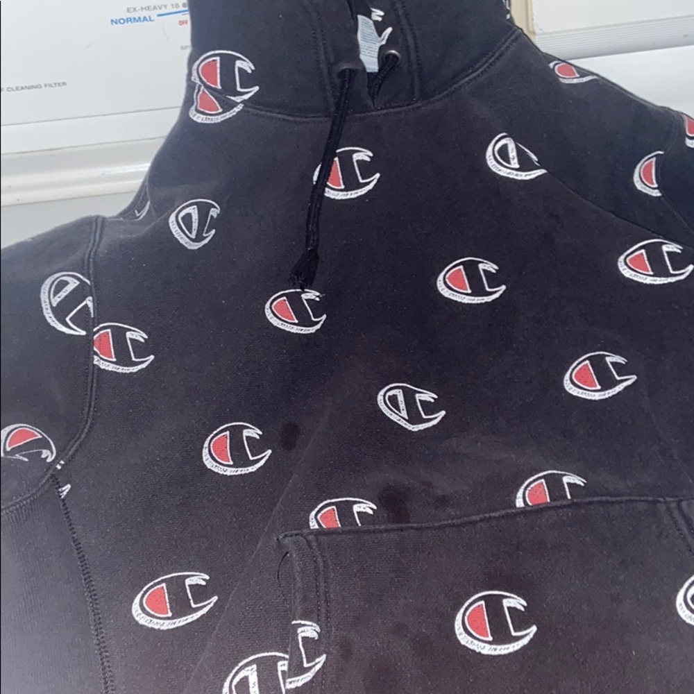 Champion hoodie